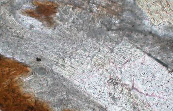 Umwandlung von Sillimanit in Fibrolith