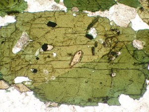 Einschlüsse von Titanit und Plagioklas in Amphibol