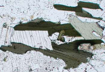 Grünlicher Fe-reicher Biotit in Granodiorit
