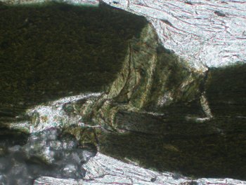 Deformierter Biotitkristall