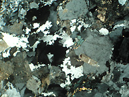 Dünnschliff (Bildunterkante 2 mm)
