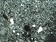 Dünnschliff: Quarz (große Körner), Gips (Grundmasse) (Bildunterkante 3 mm)