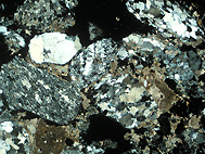 Dünnschliff: kleine Quarzgerölle (Bildunterkante 0,5 cm)