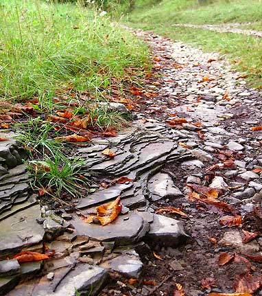 Galgenberg: Stinkschiefer auf dem Weg (Blick nach Nordwesten)