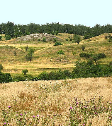 Gipsbuckel am Südrand (Blick nach Nordwesten)