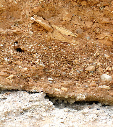 Graues und Braunes Sediment in direktem Kontakt (Bildunterkante 1 m)