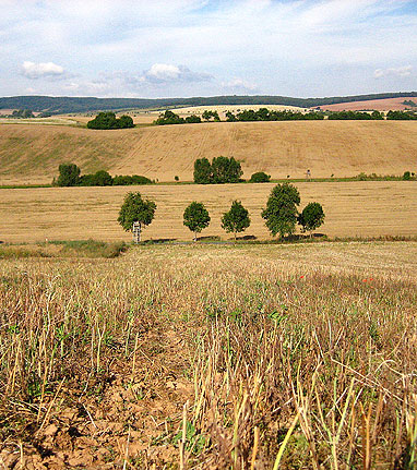 Unter dem Feld im Vordergrund verläuft die Nordrandstörung (Blick nach Norden in die Goldene Aue)