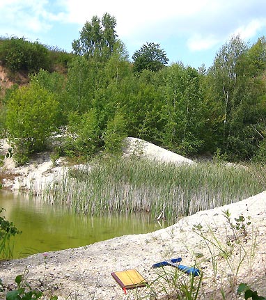 Sandgrube Steinthaleben: lockerere Sedimente (Blick nach Nordwesten)