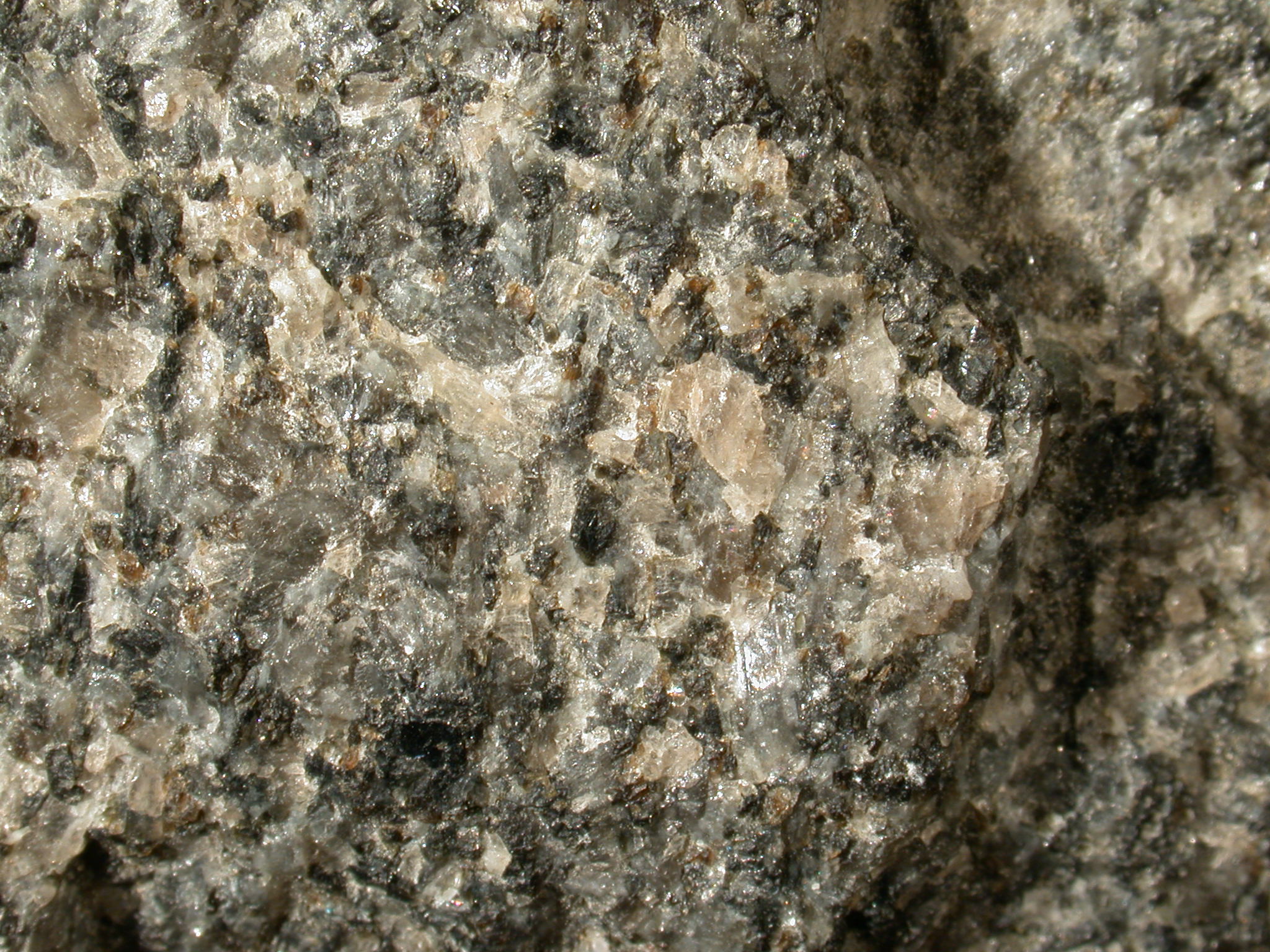 Gabbro
