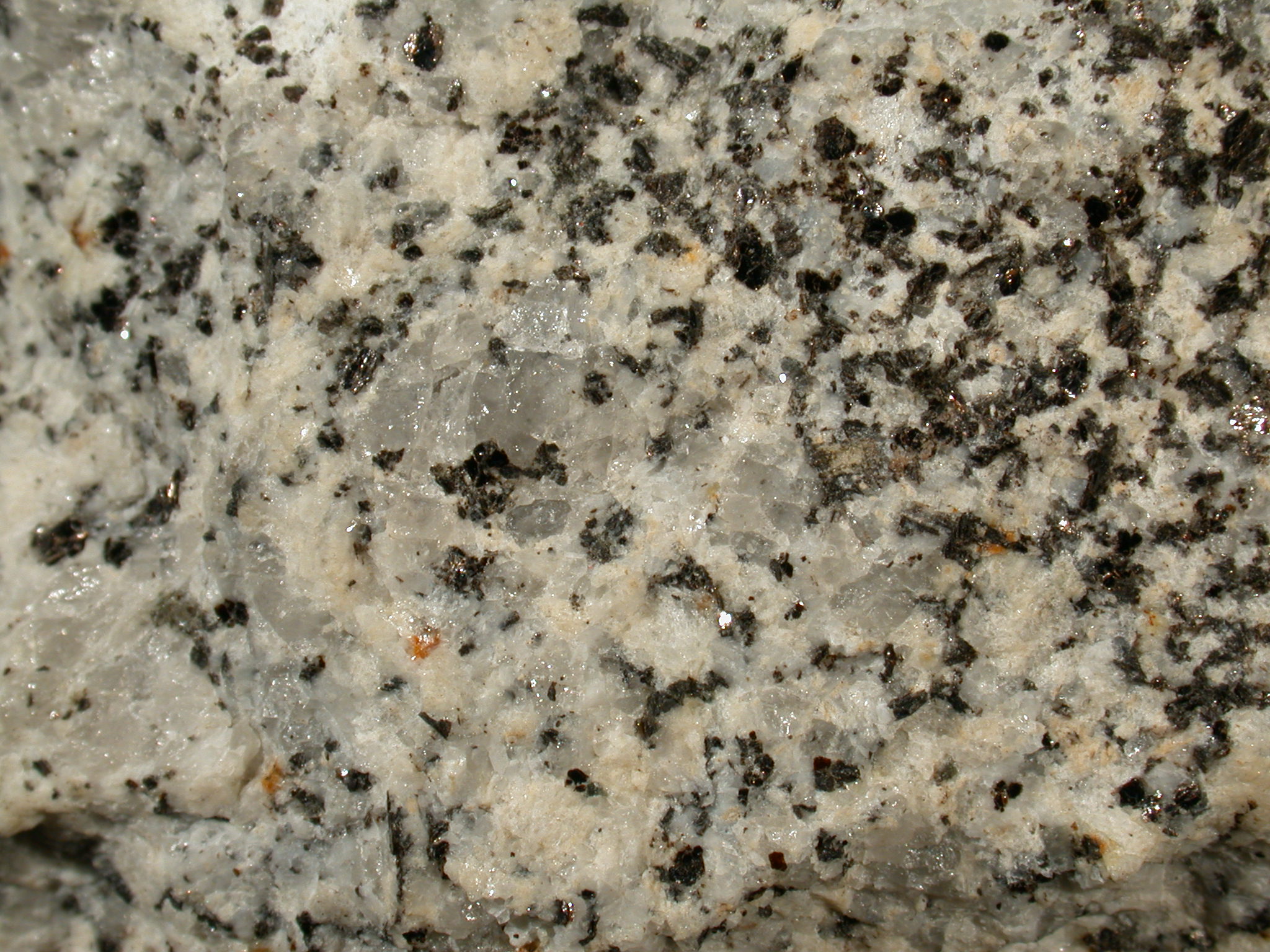 Granodiorit