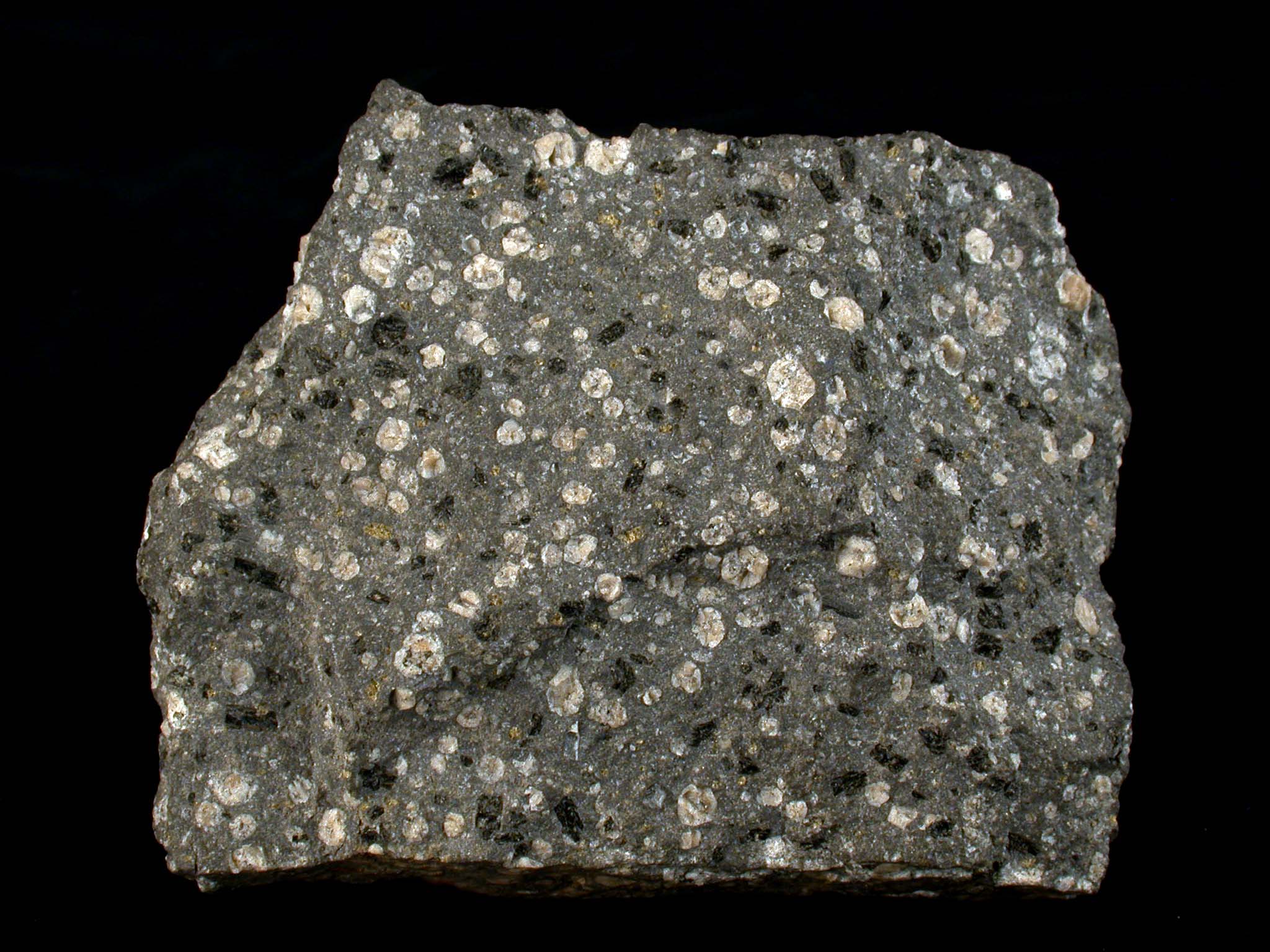 Leucitit