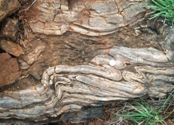 Offene (links) bis enge (rechts), überkippte Falte in Banded-Magnetite-Quarzite (BMQ), östlicher Dharwar-Kraton, Südindien.