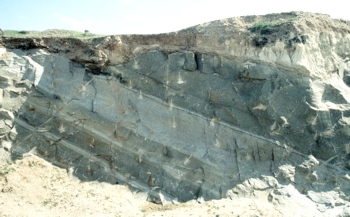 Primäre Foliation: Magmatischer Lagenbau