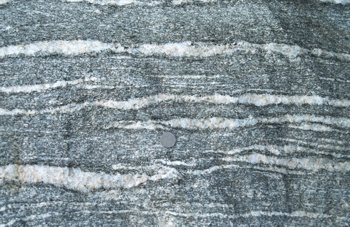 Stromatitischer Migmatit, Southern Granulite Terrain, Südindien