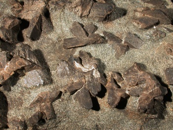Staurolith