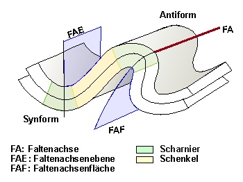 Die wichtigsten Elemente einer Falte